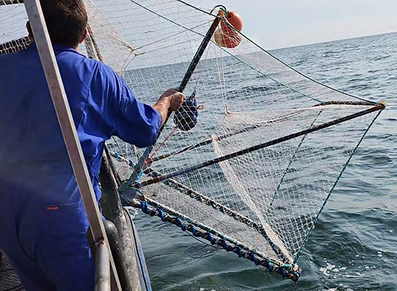 Naukowcy ZUT w Szczecinie z zachodniopomorskimi rybakami walcz o utrzymanie biornorodnoci Batyku